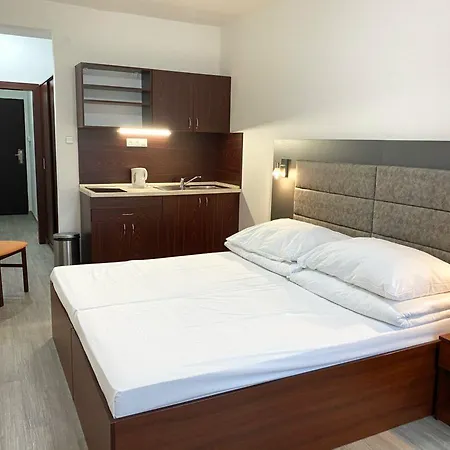 Отель Baronka 4*